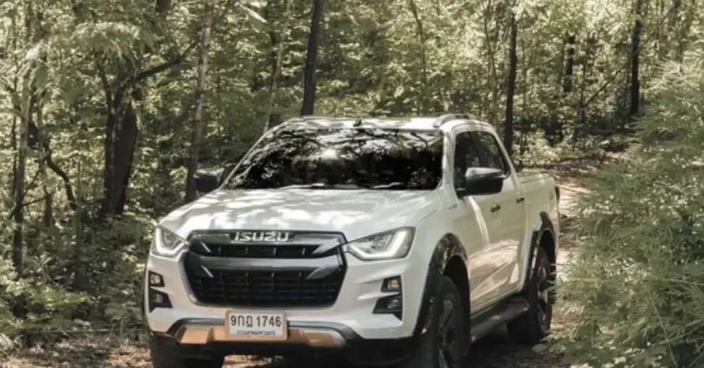 truck in a forest