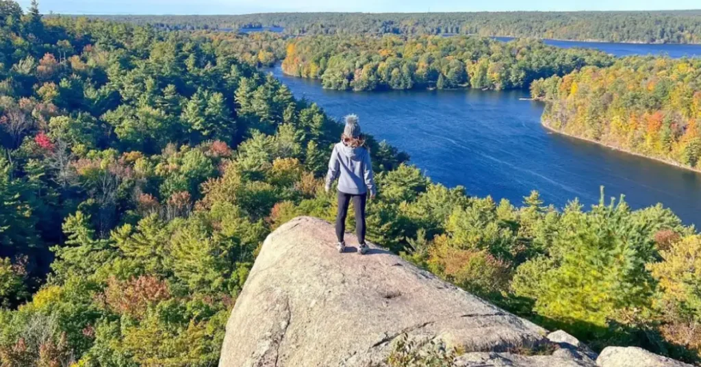 woman standing on a big rock looking down on a forest