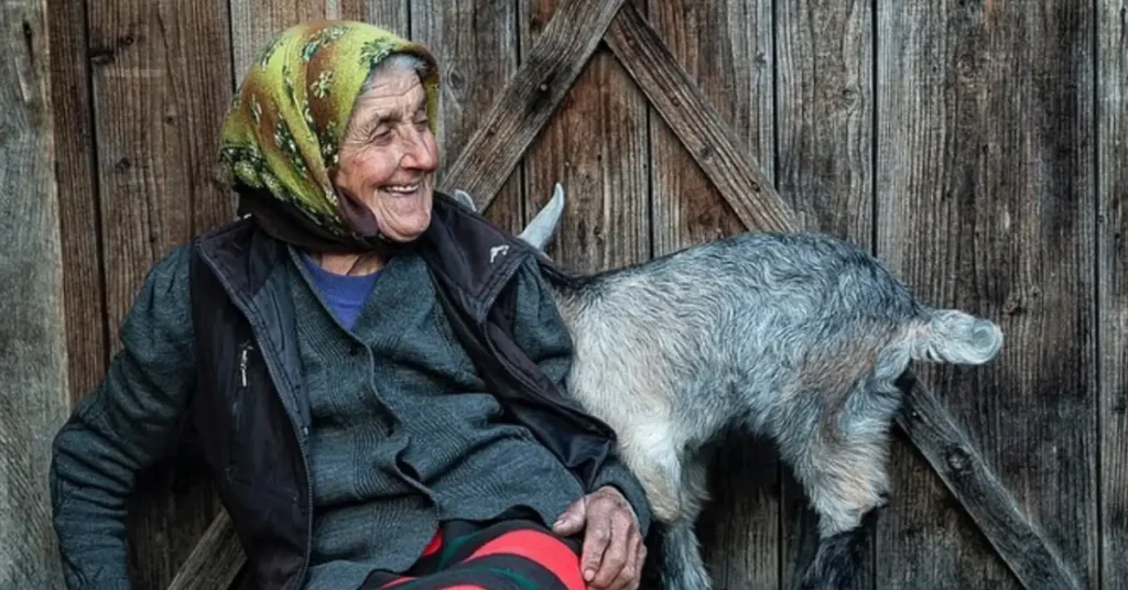 old woman sitting on a bench
