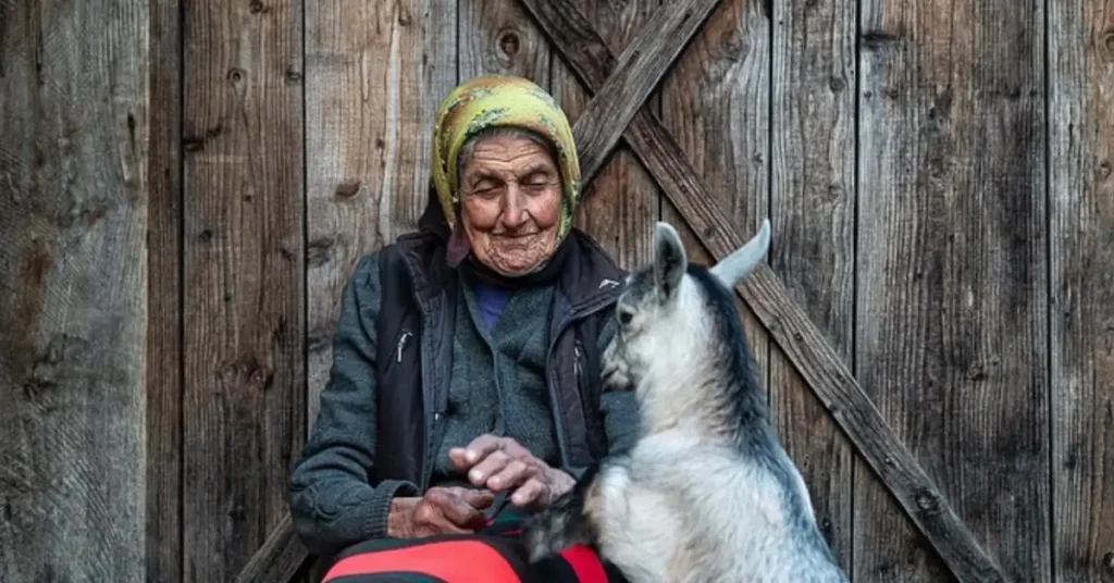 old woman and a goat