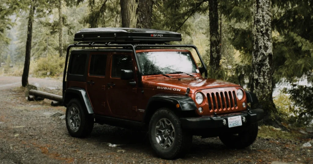 jeep in a forest